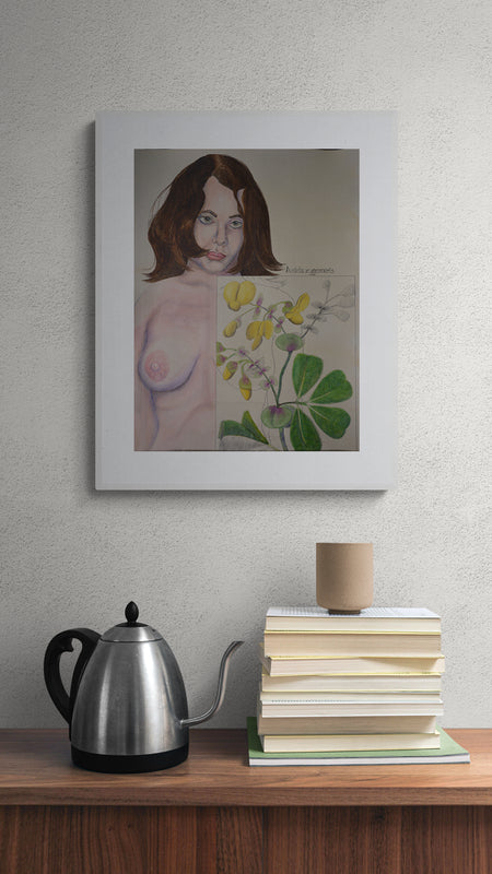 Obra de Arte Original "Amicia zygomeris"