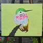 Pajarito Colibrí