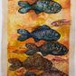 Conversando con peces