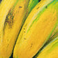 Platanitos
