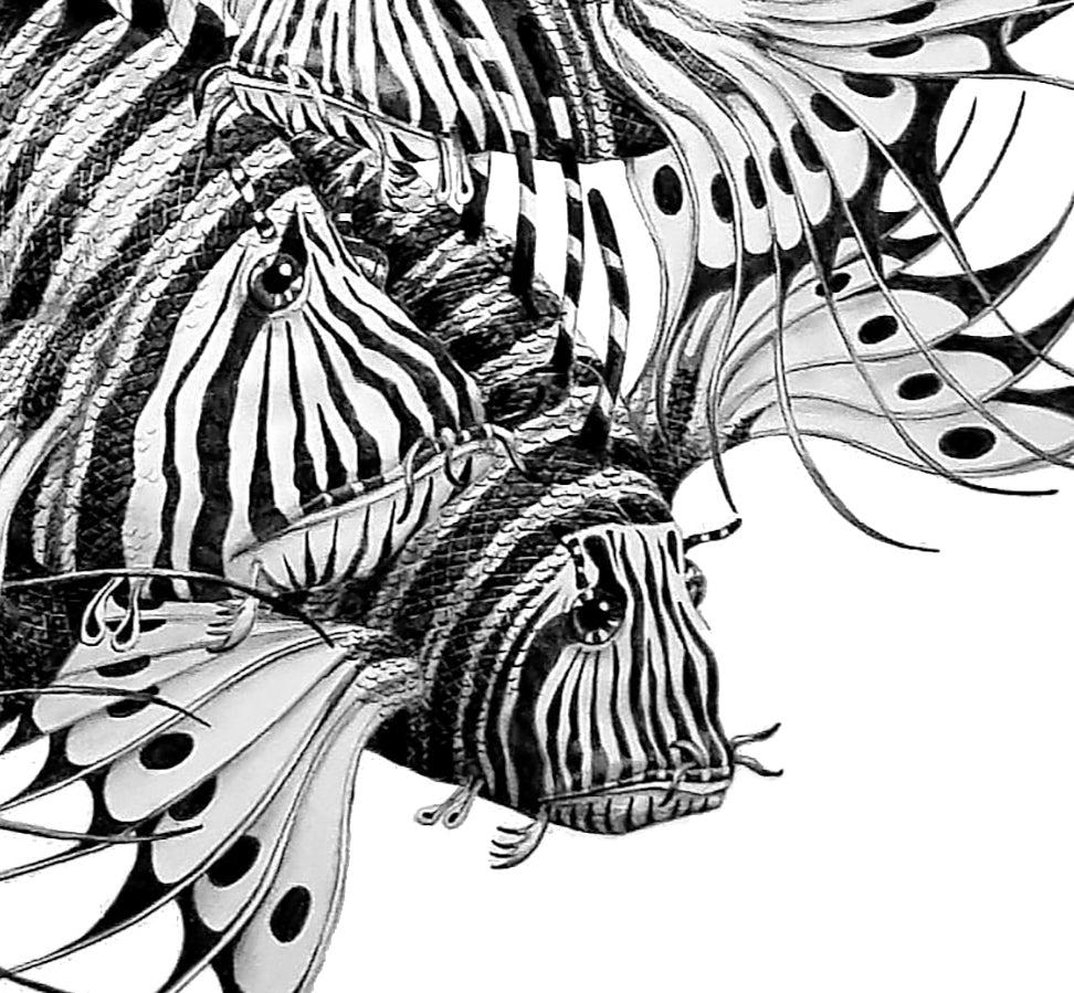 Nudo de peces