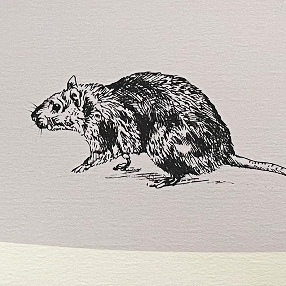 Serigrafía Ratas