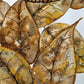 Memorias de Otoño