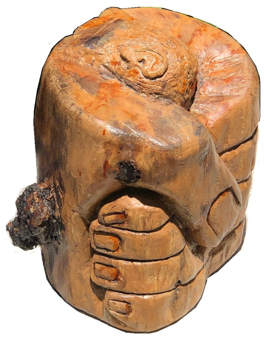 el alma del árbol