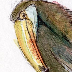 Arte gráfico contemporáneo -El tucanazo