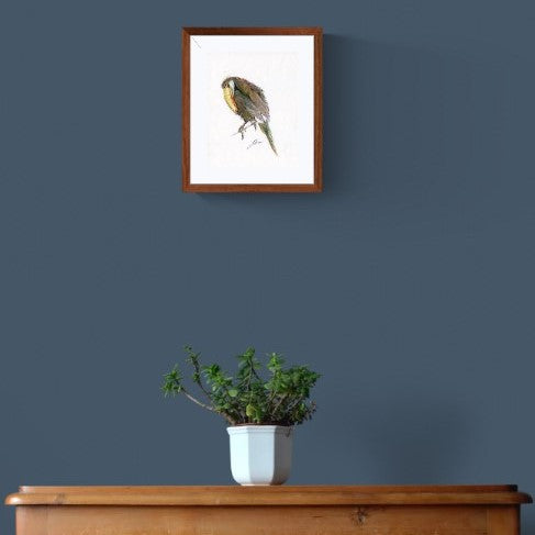 Arte gráfico contemporáneo -El tucanazo