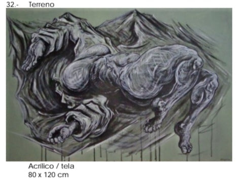 Terreno