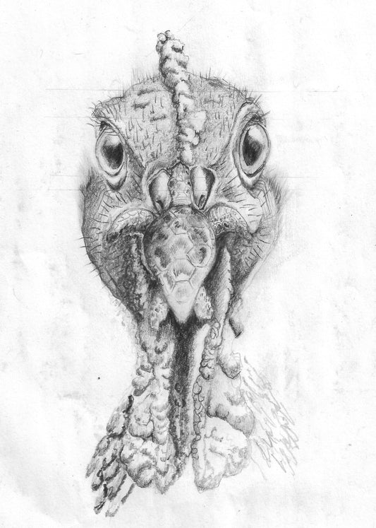 Tortugalote