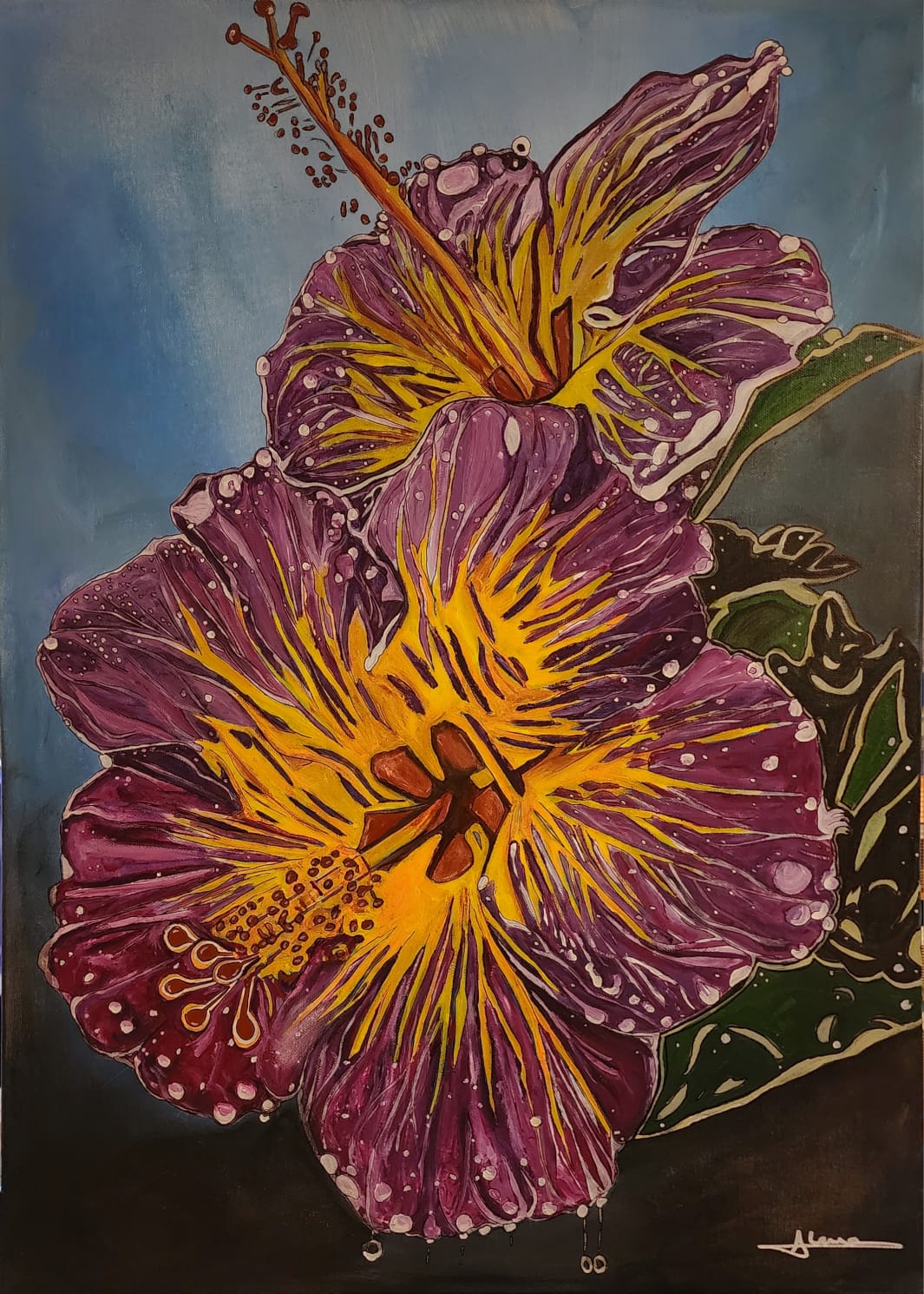 Hibiscus