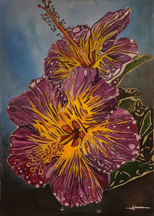 Hibiscus