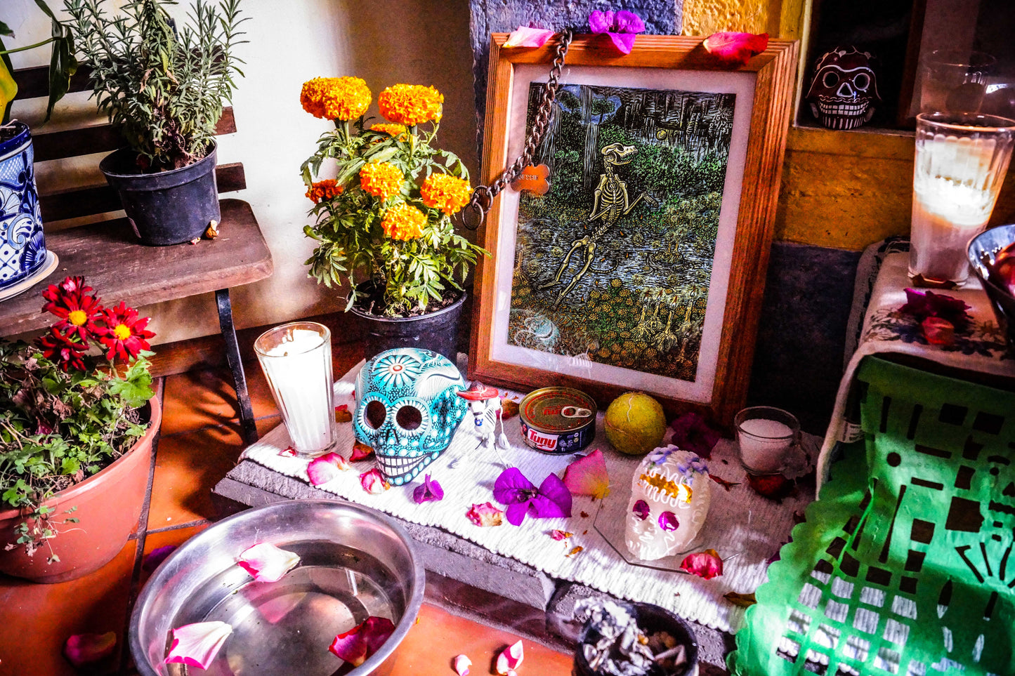 Nos vemos en la entrada