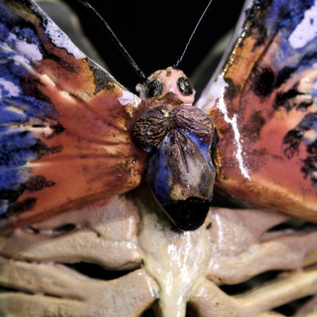 Escultura Cerámica - Lepidóptera