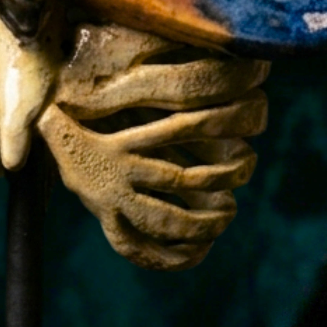 Escultura Cerámica - Lepidóptera
