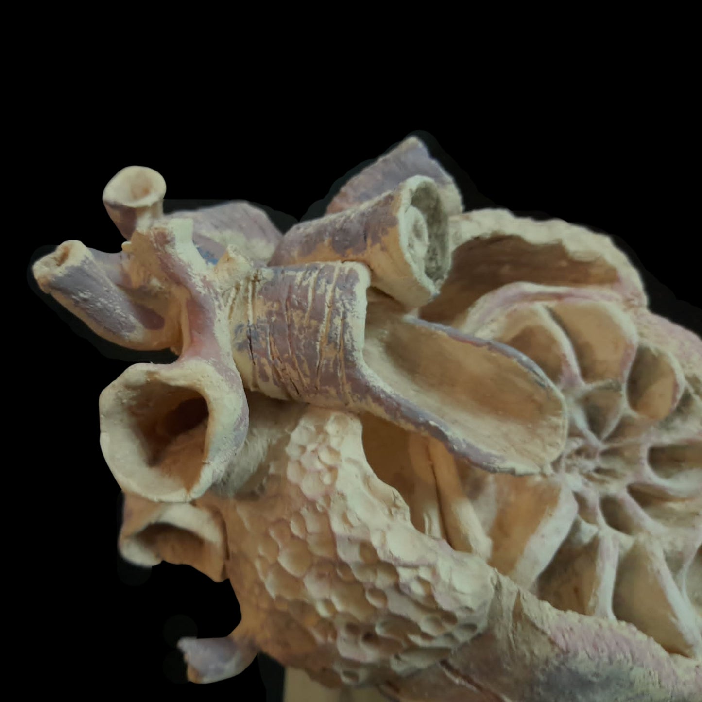 Escultura Cerámica - Metamorfosis del Ser