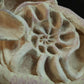 Escultura Cerámica - Metamorfosis del Ser