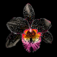 Arte original - Inmarcesible 5