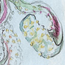 Arte gráfico contemporáneo -Octopuz