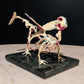 Escultura - Anatomía de un cuento