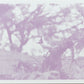 Pájaro en rosa