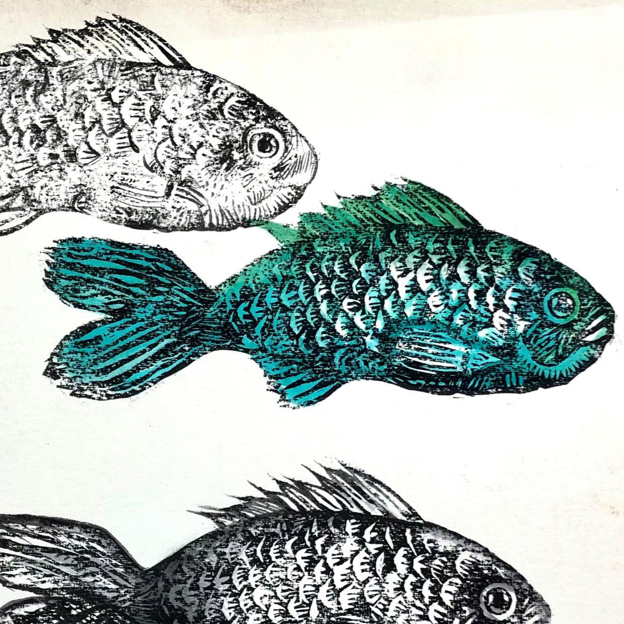 Conversando con peces II