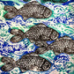 Conversando con peces IV