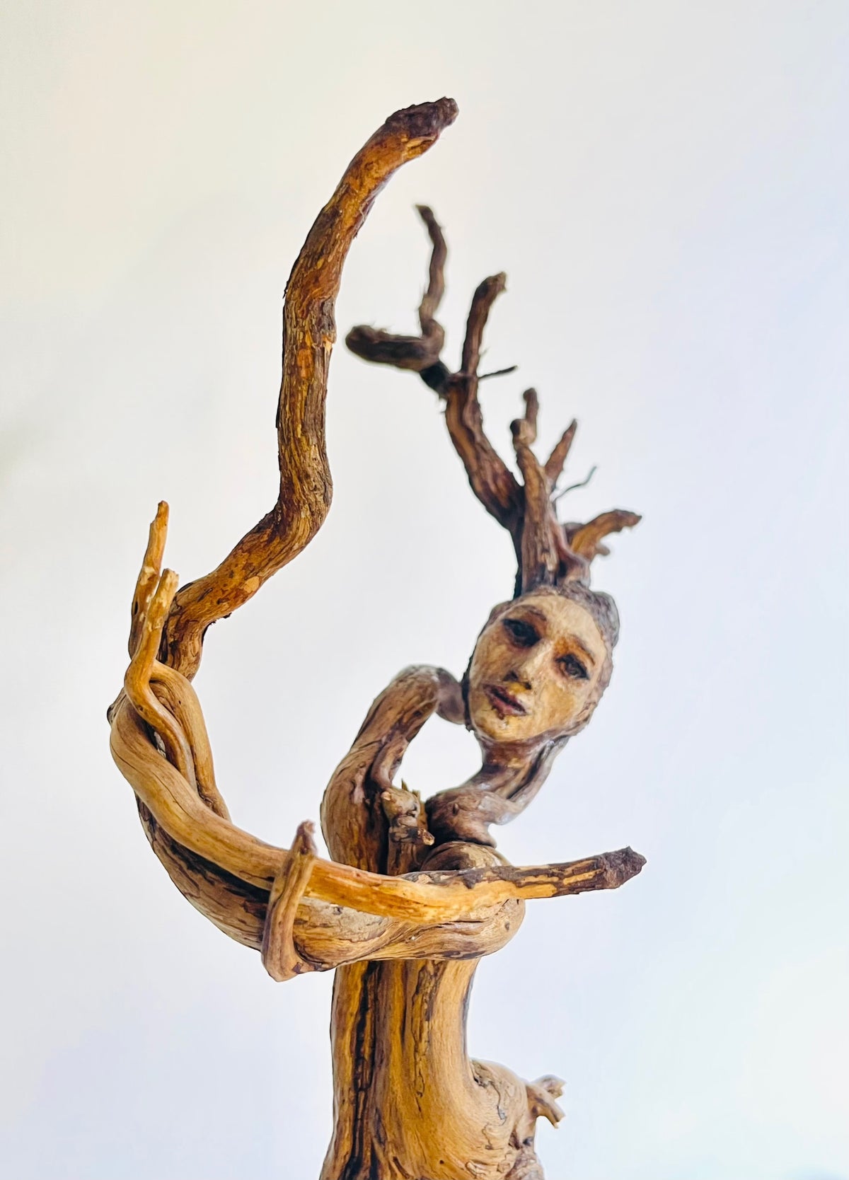 “Isobella… danza de la devoción”