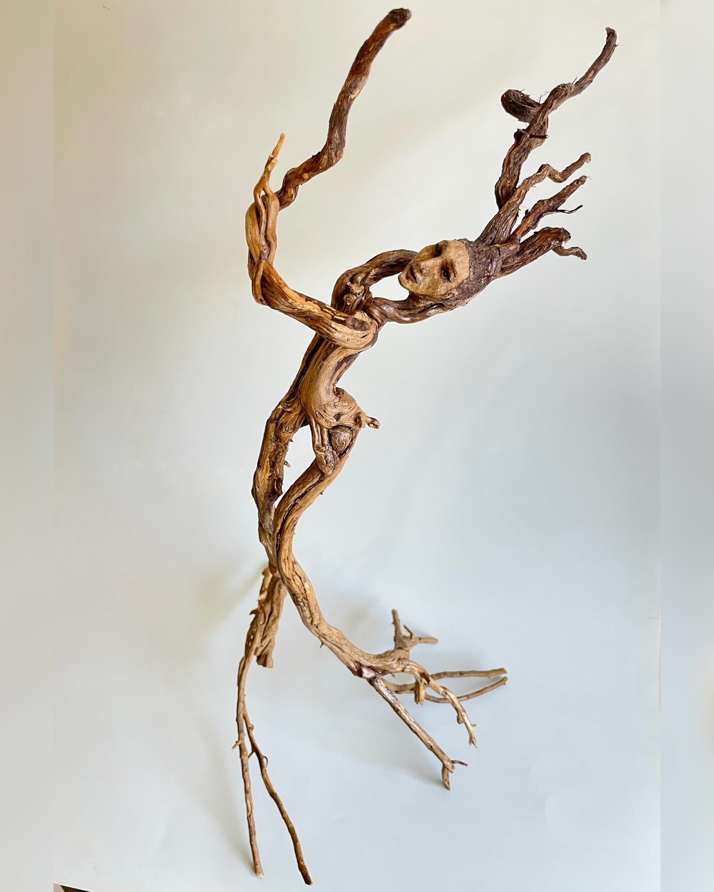 “Isobella… danza de la devoción”