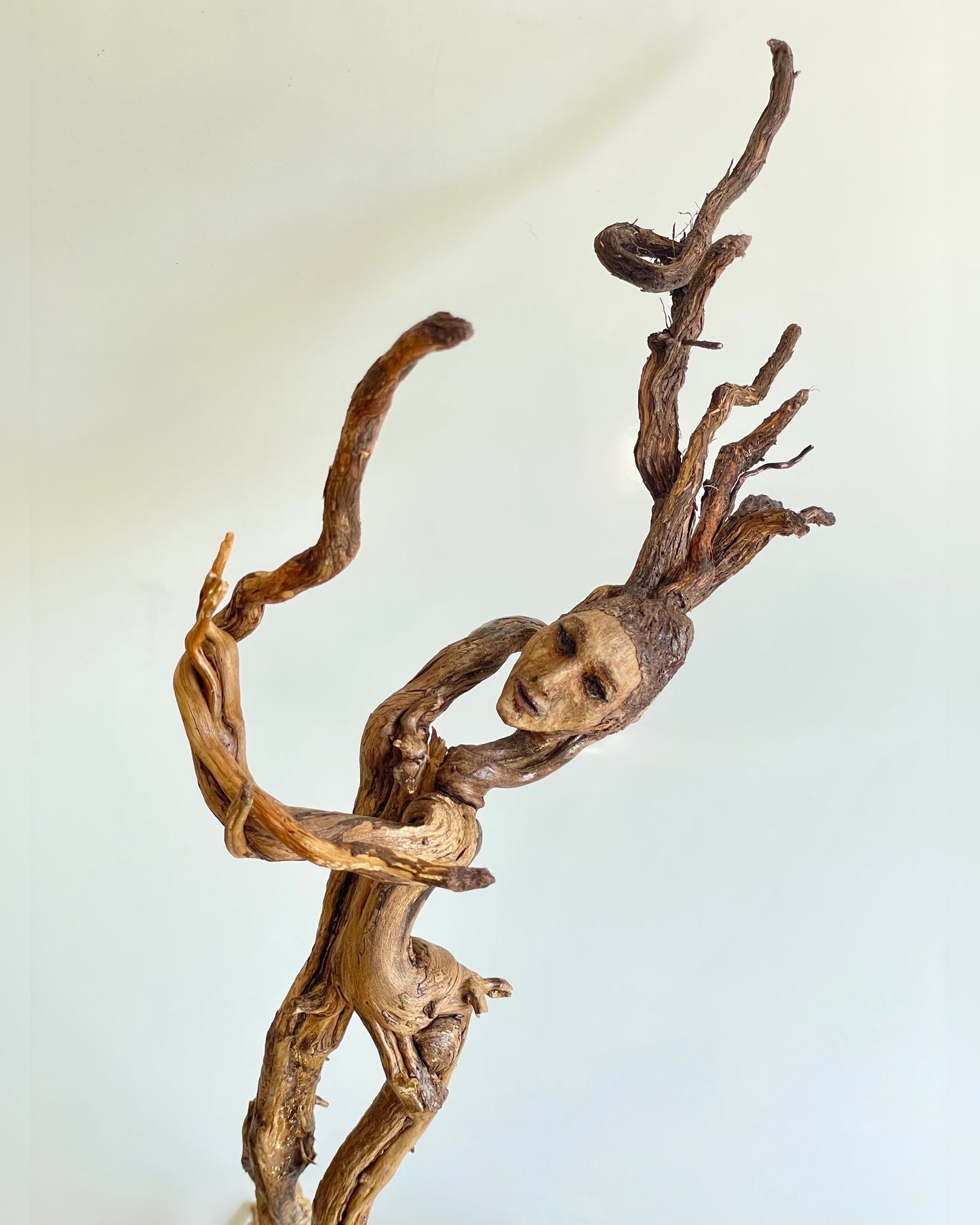 “Isobella… danza de la devoción”