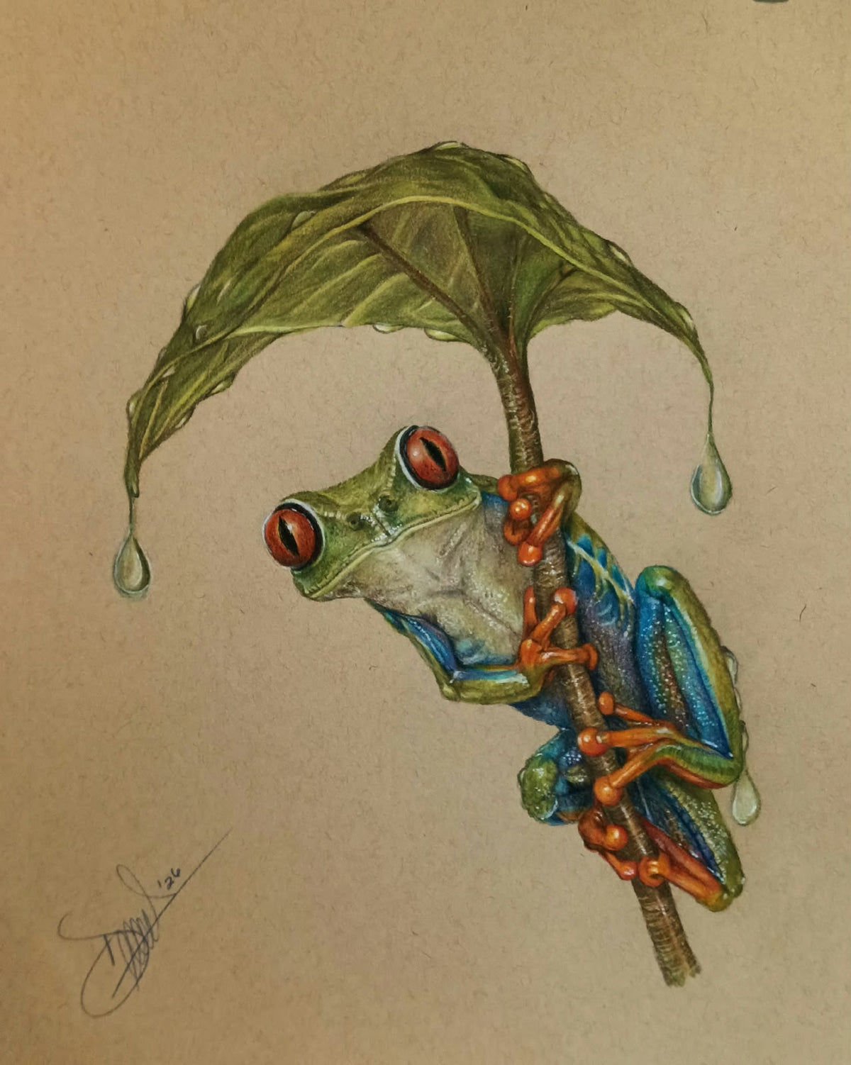 Cuadro original - Rana amazónica