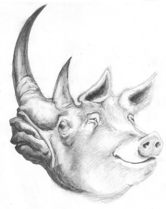 CochiRhino