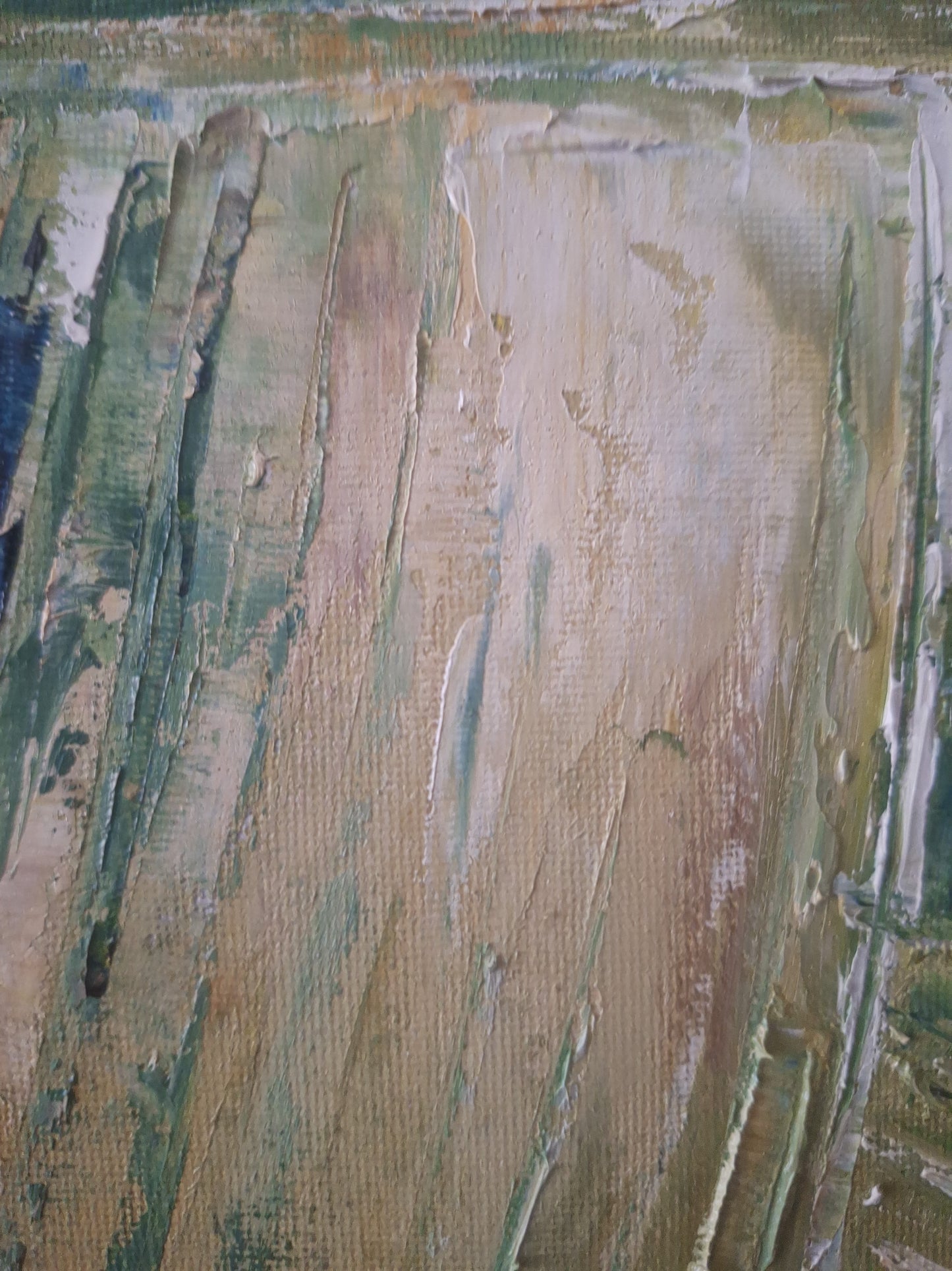 Campos de agave