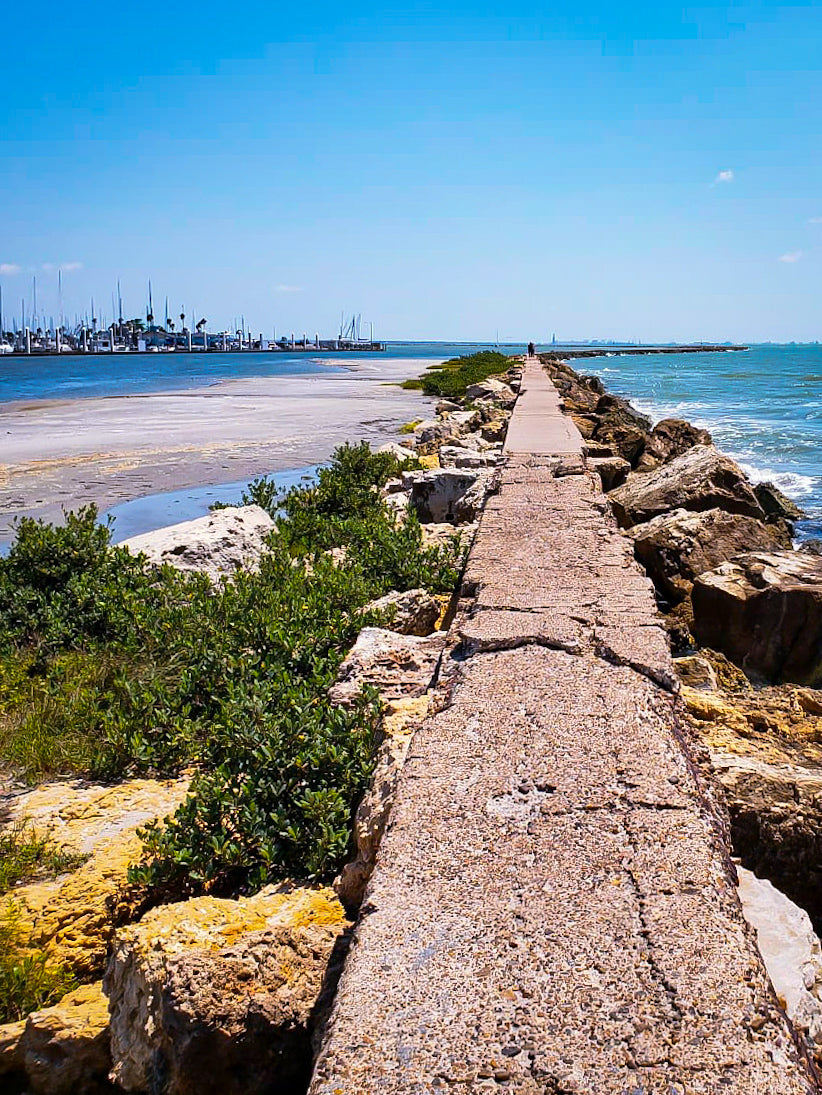 El muelle