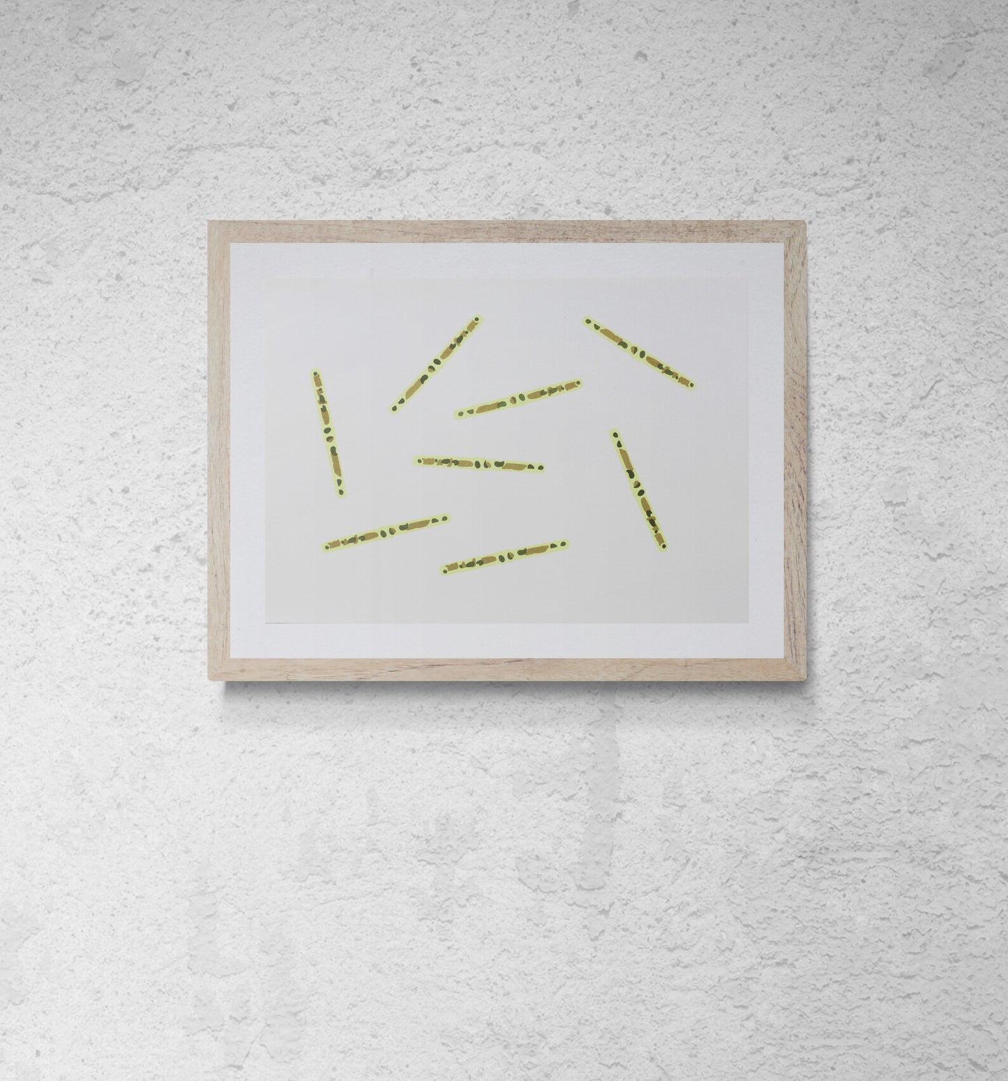 Alga