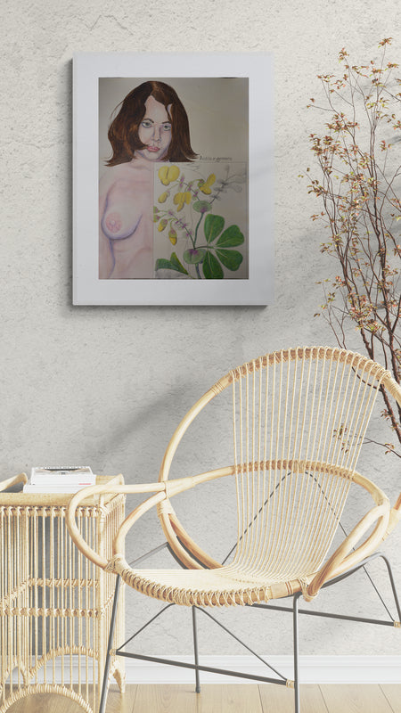 Obra de Arte Original "Amicia zygomeris"