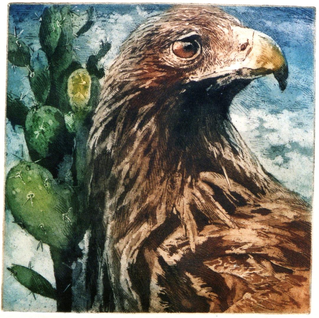 Aguila real