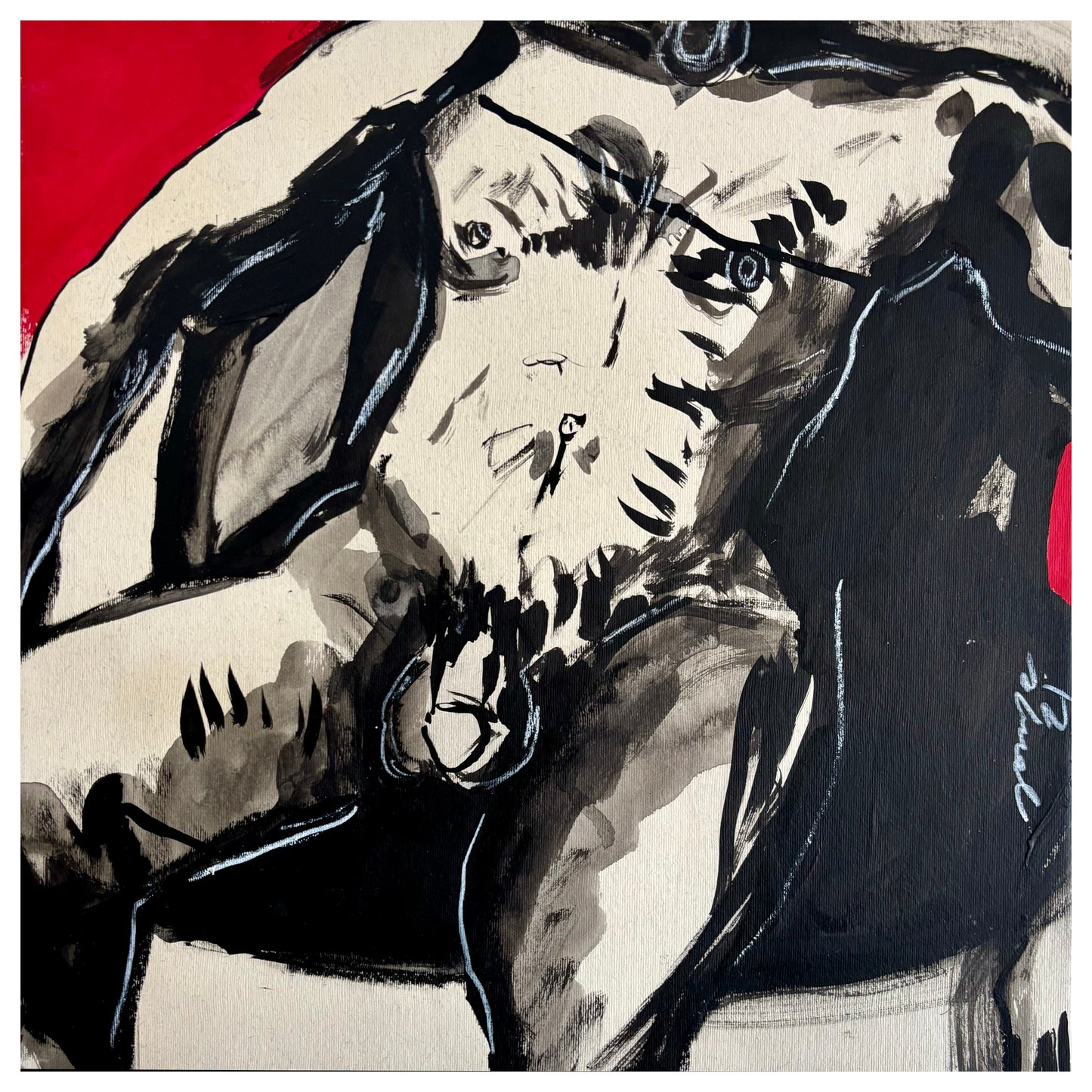 Torso rojo y negro