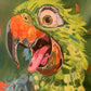Happy Bird