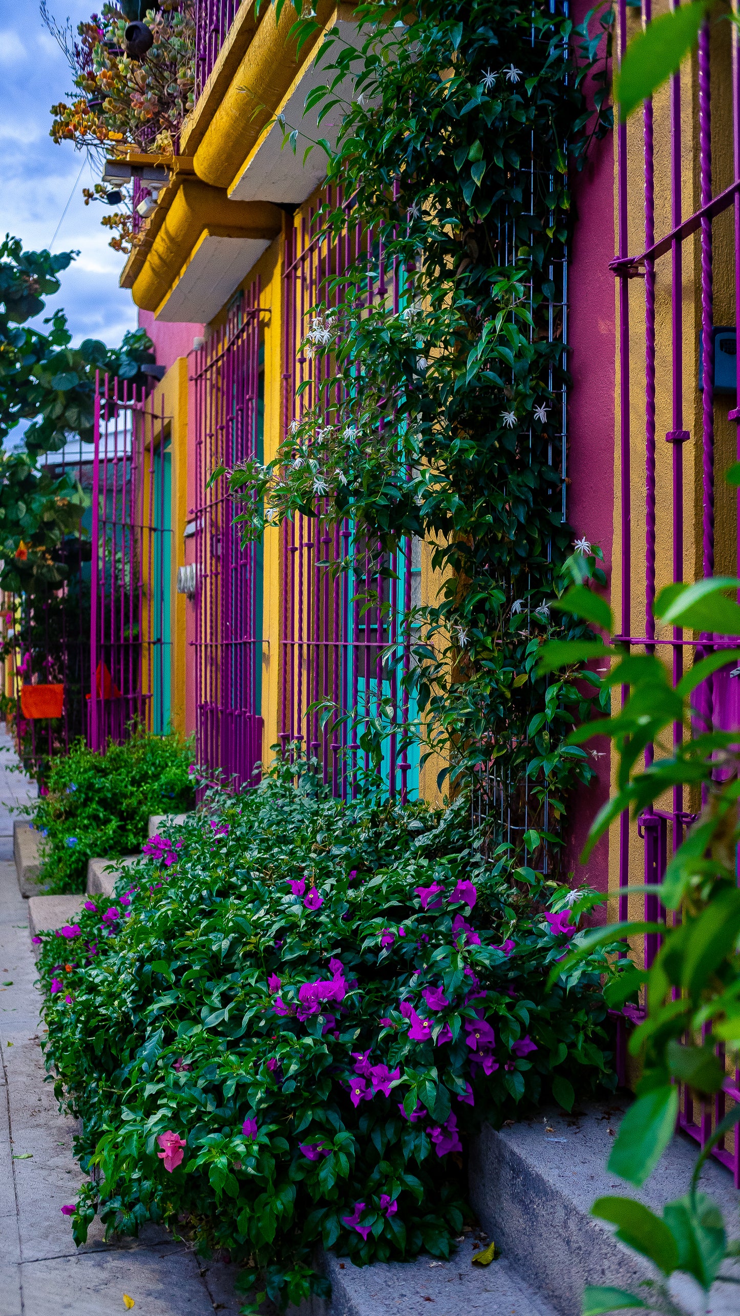 Puertas en Jalatlaco