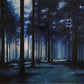 El bosque