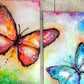 Mariposa de amor
